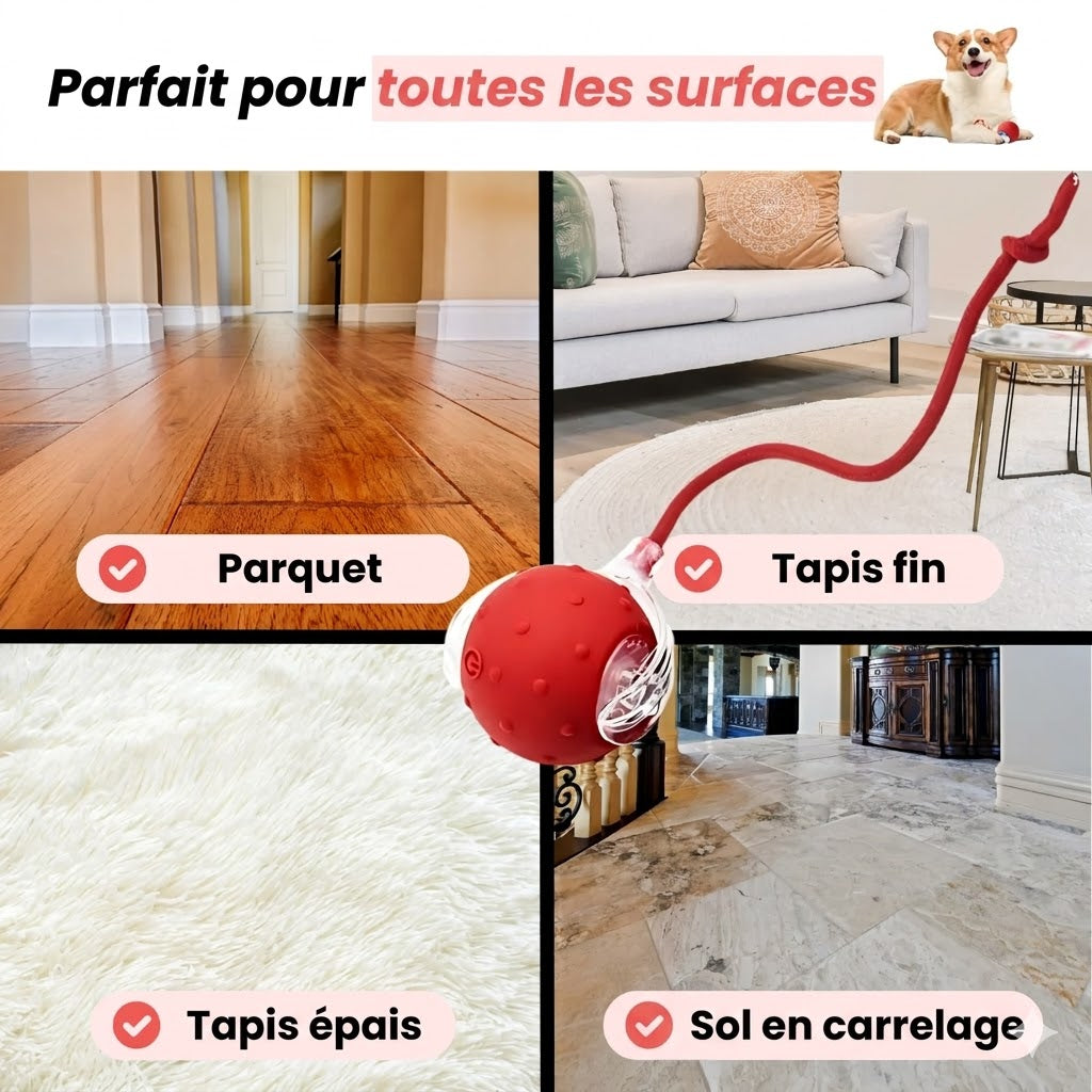 TinyFetch™ – Interactive Ball