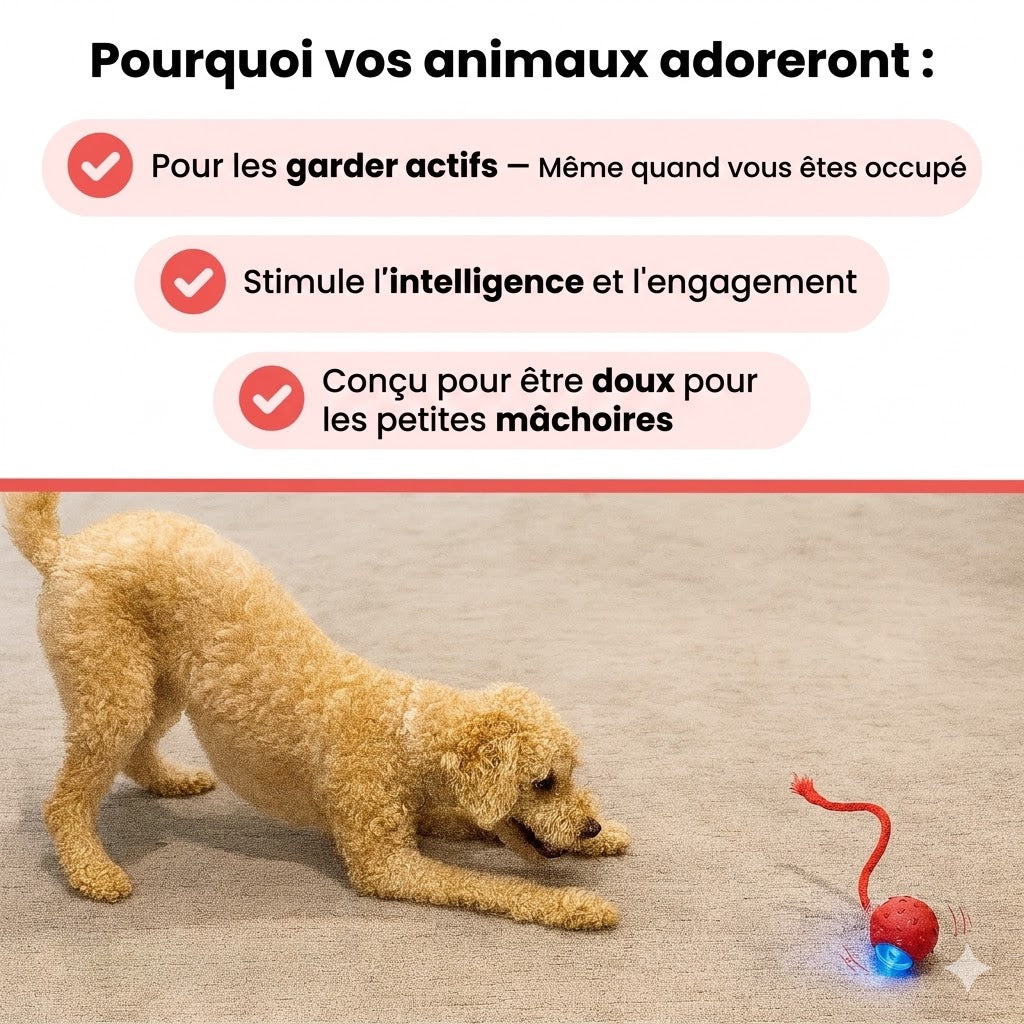 TinyFetch™ – Interactive Ball