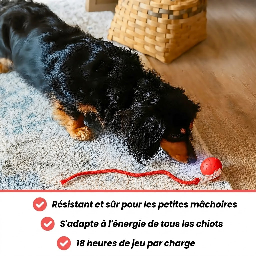 TinyFetch™ – Interactive Ball
