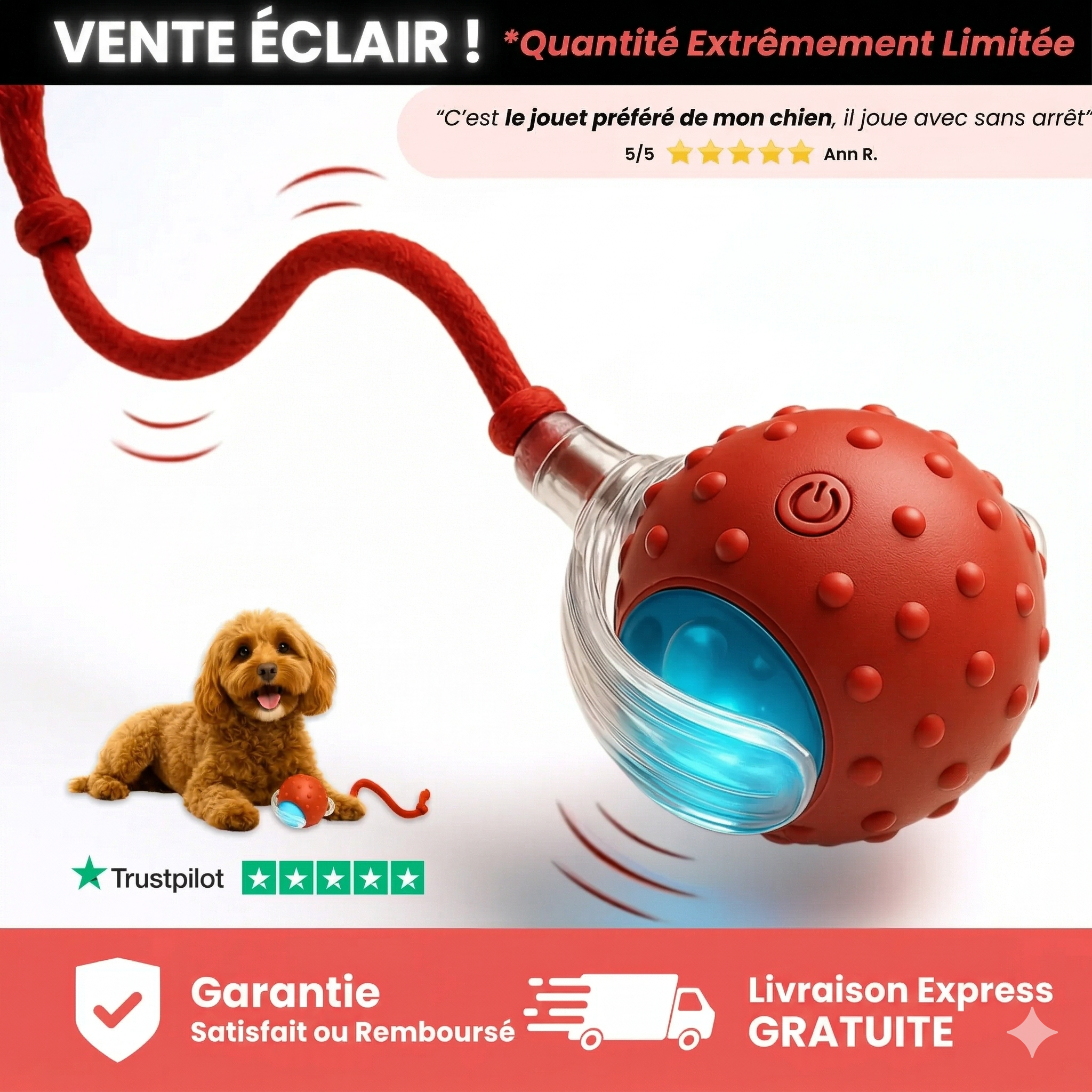 TinyFetch™ – Interactive Ball