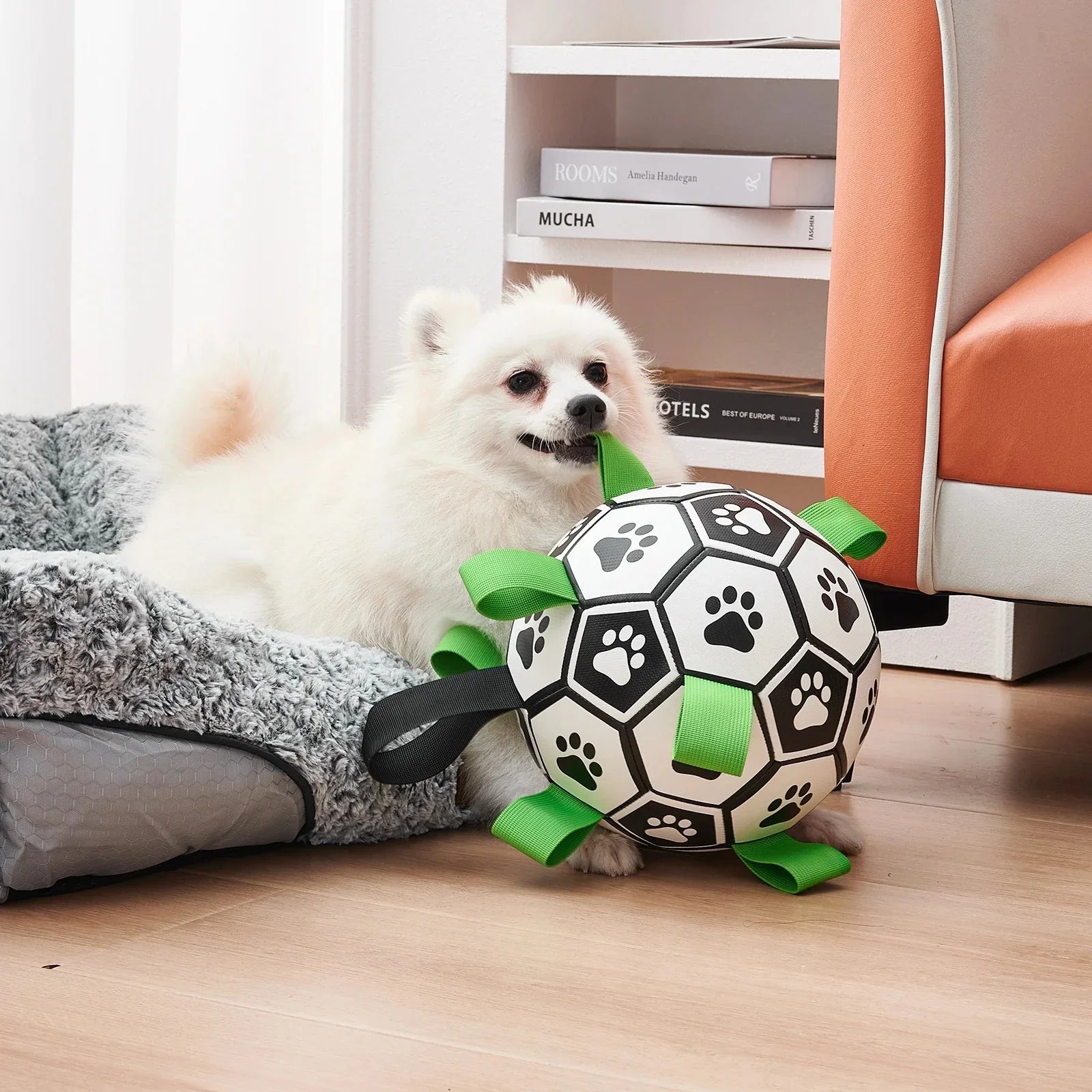 The Chewie Viral Dog Ball